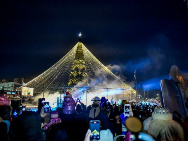 В Перми зажглись огни главной новогодней ели на эспланаде