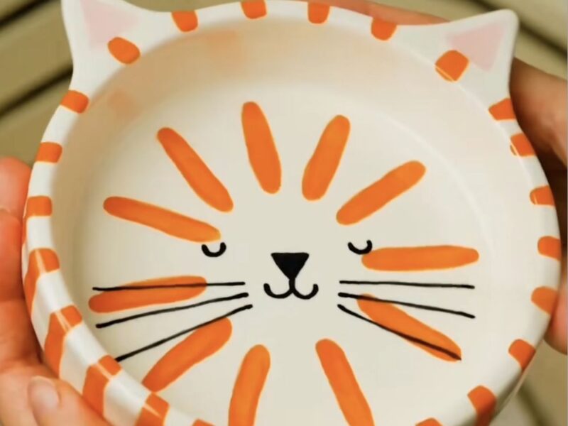 «Мисочка с портретом любимого котика»